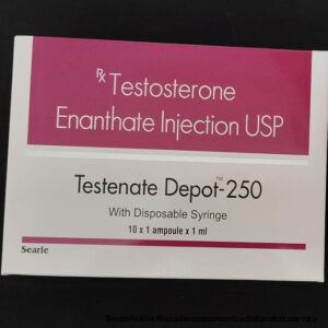 TESTOSTERONE ENANTHATE 250mg - 10 VIALS (SINGAPORE/MALAYSIA/PHILIPPINES)